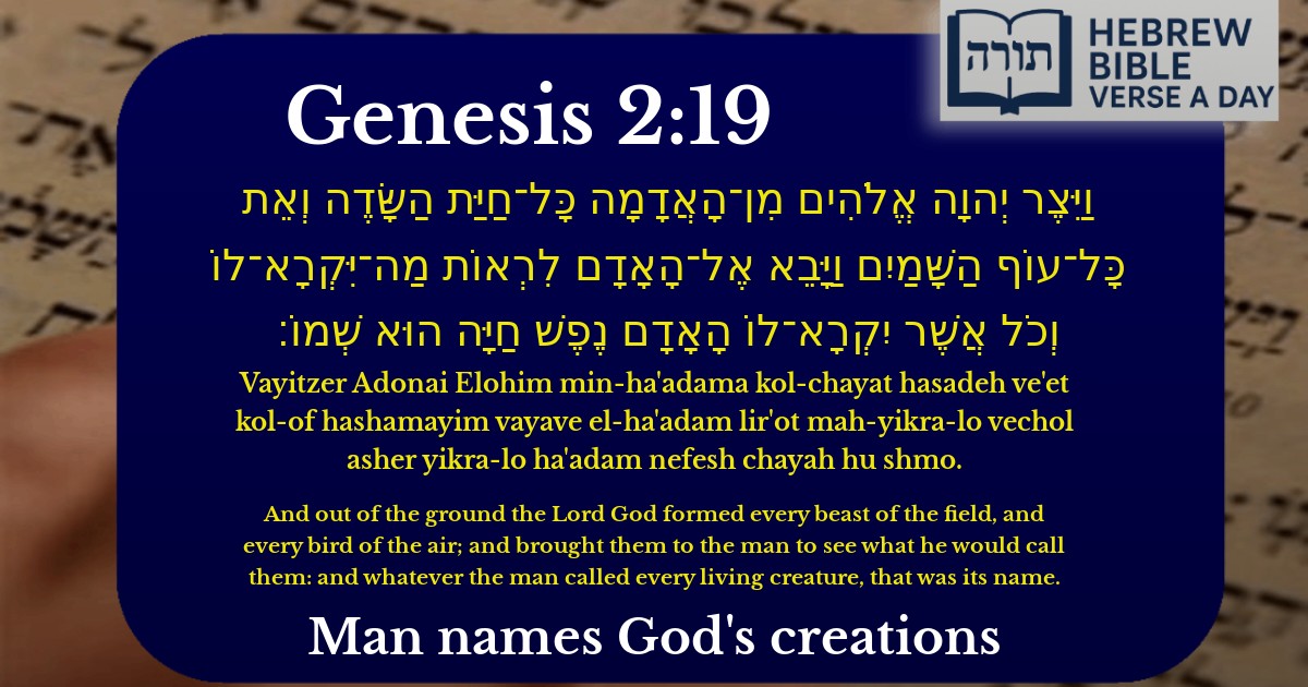 Genesis 2:19 - בראשית 2:19