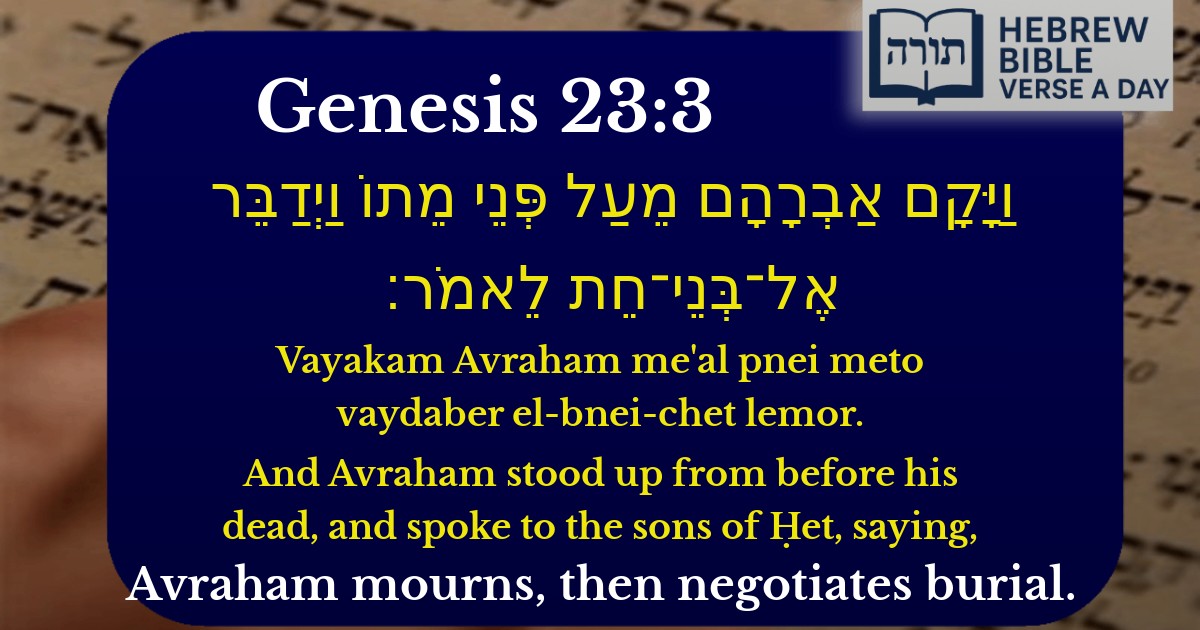 Genesis 23:3 - בראשית 23:3