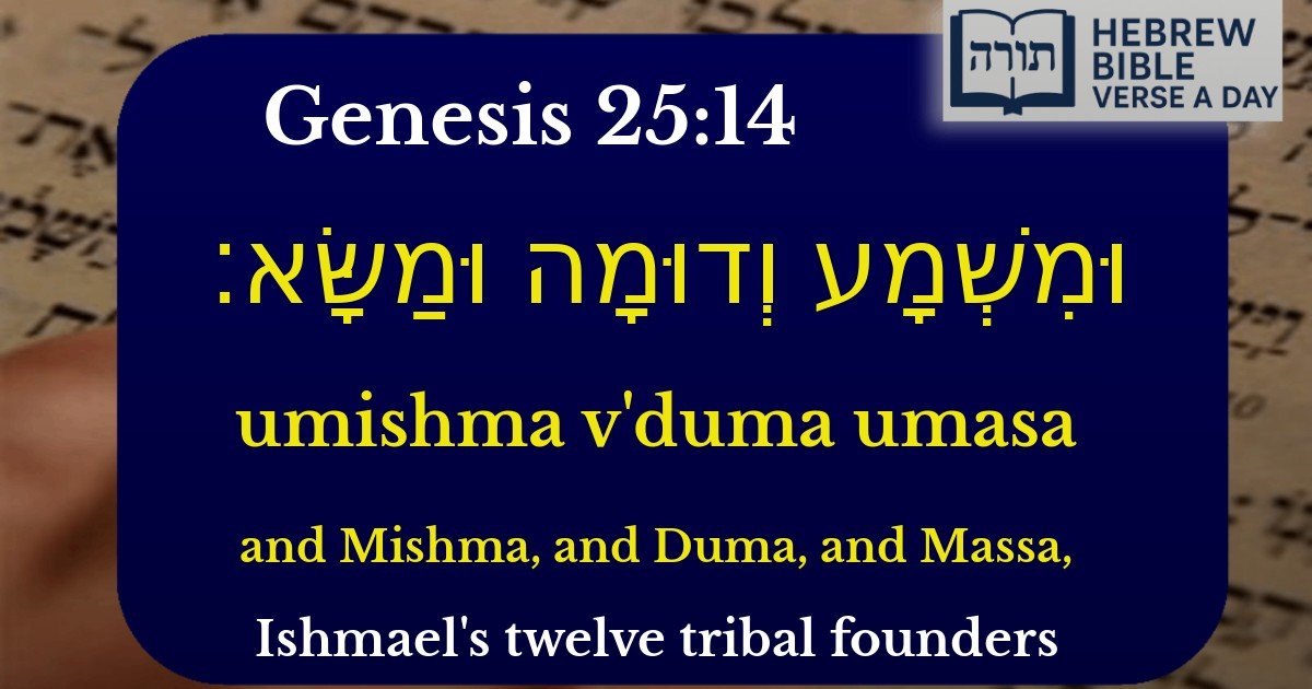 Genesis 25:14 - בראשית 25:14