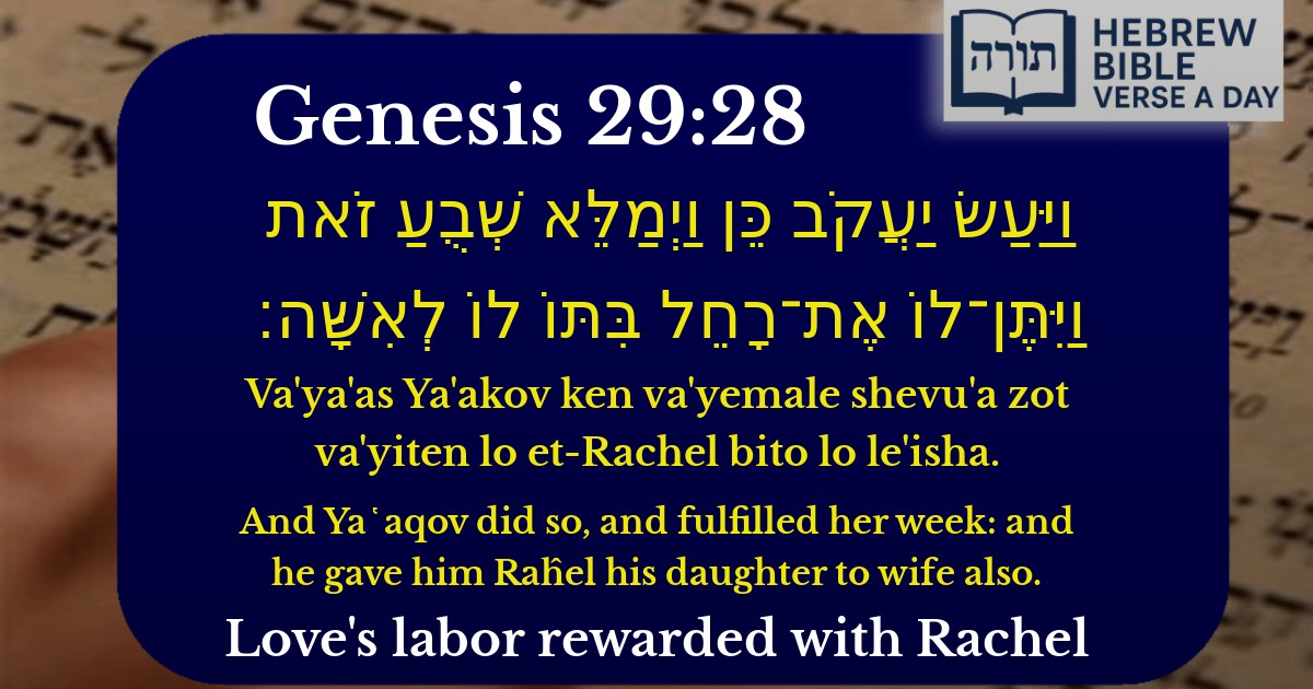 Genesis 29:28 - בראשית 29:28