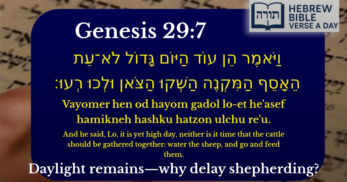 Genesis 29:7 - בראשית 29:7