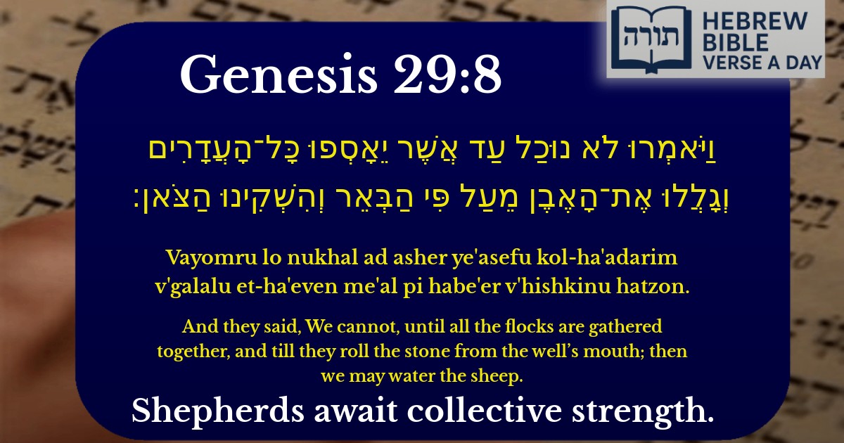 Genesis 29:8 - בראשית 29:8