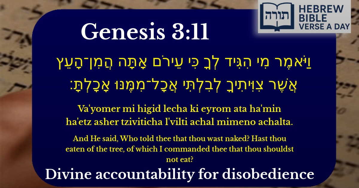 Genesis 3:11 - בראשית 3:11