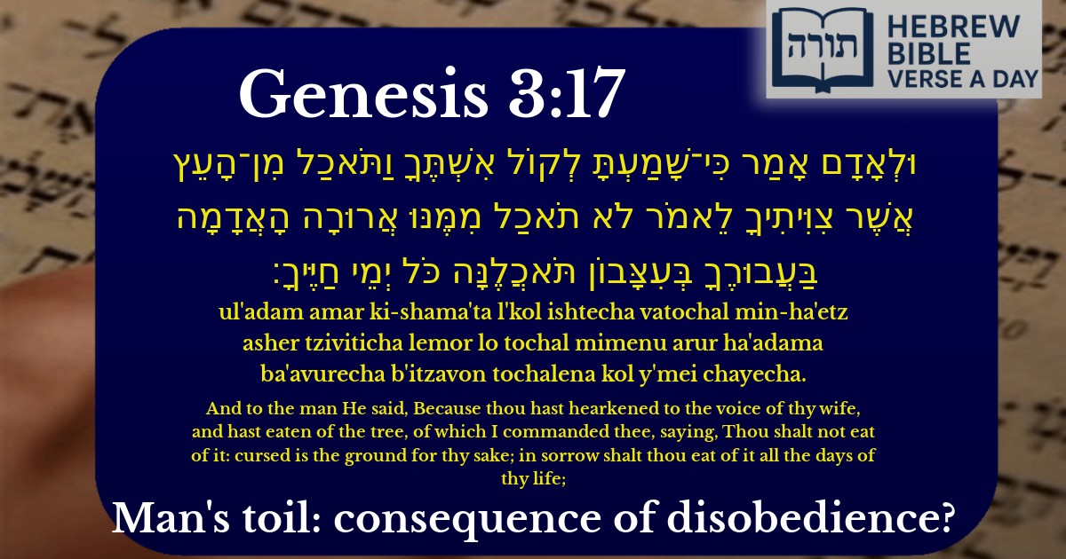 Genesis 3:17 - בראשית 3:17