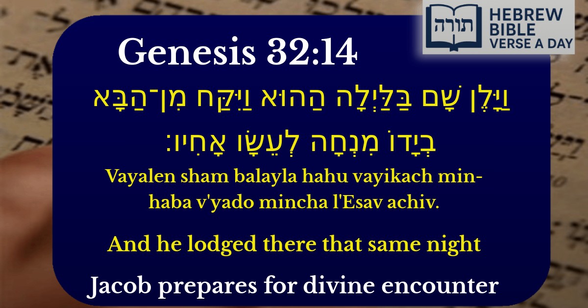 Genesis 32:14 - בראשית 32:14