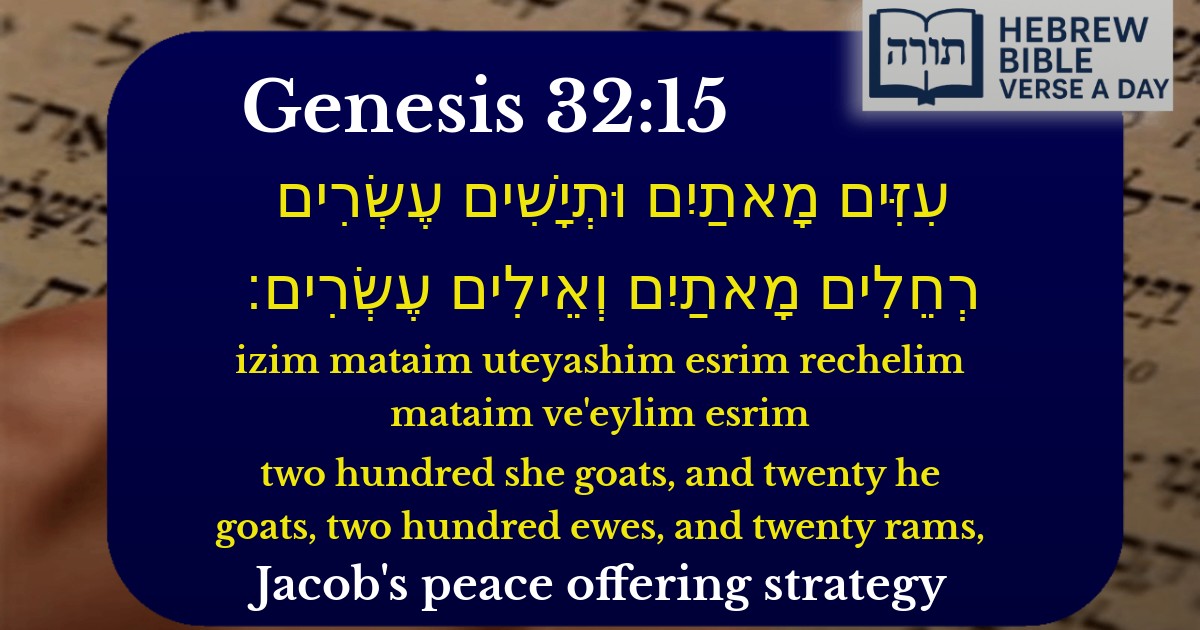 Genesis 32:15 - בראשית 32:15