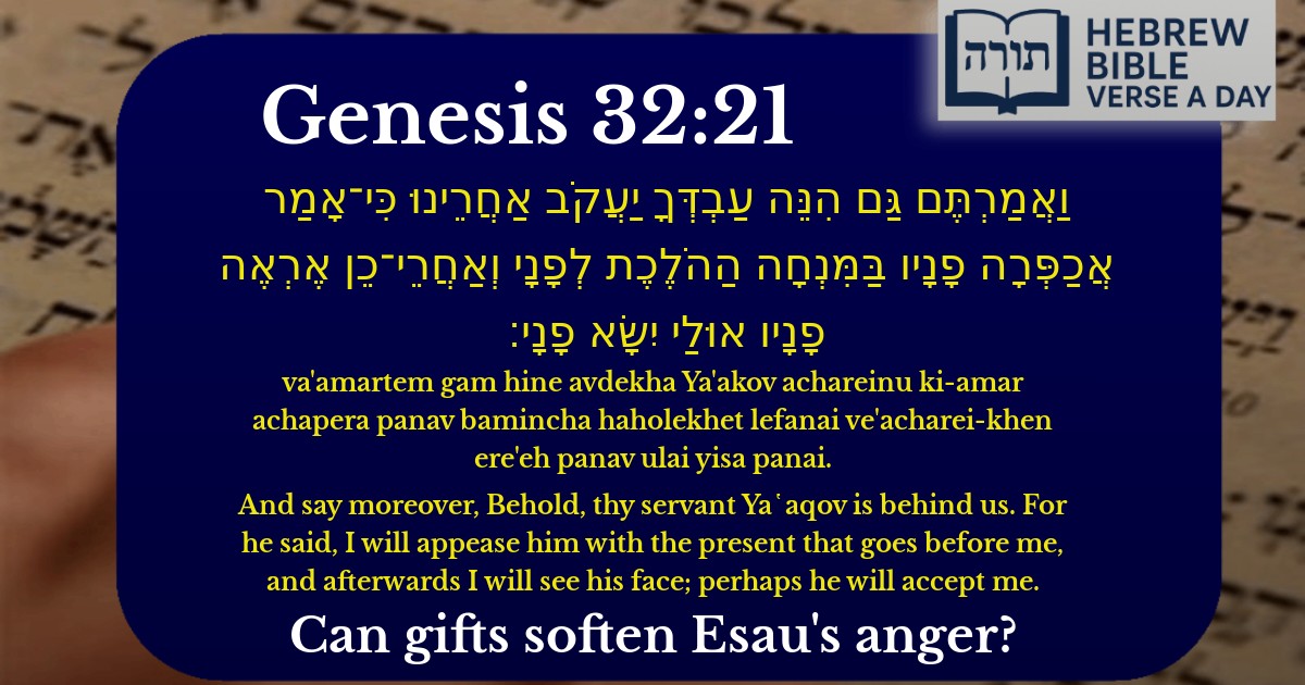 Genesis 32:21 - בראשית 32:21