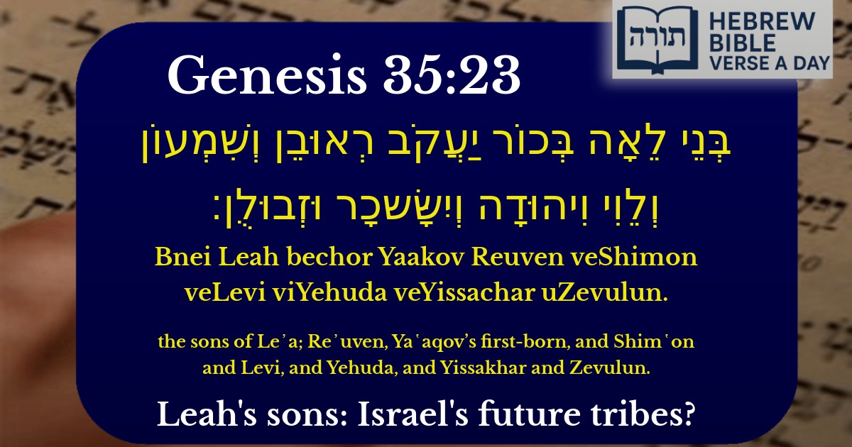 Genesis 35:23 - בראשית 35:23