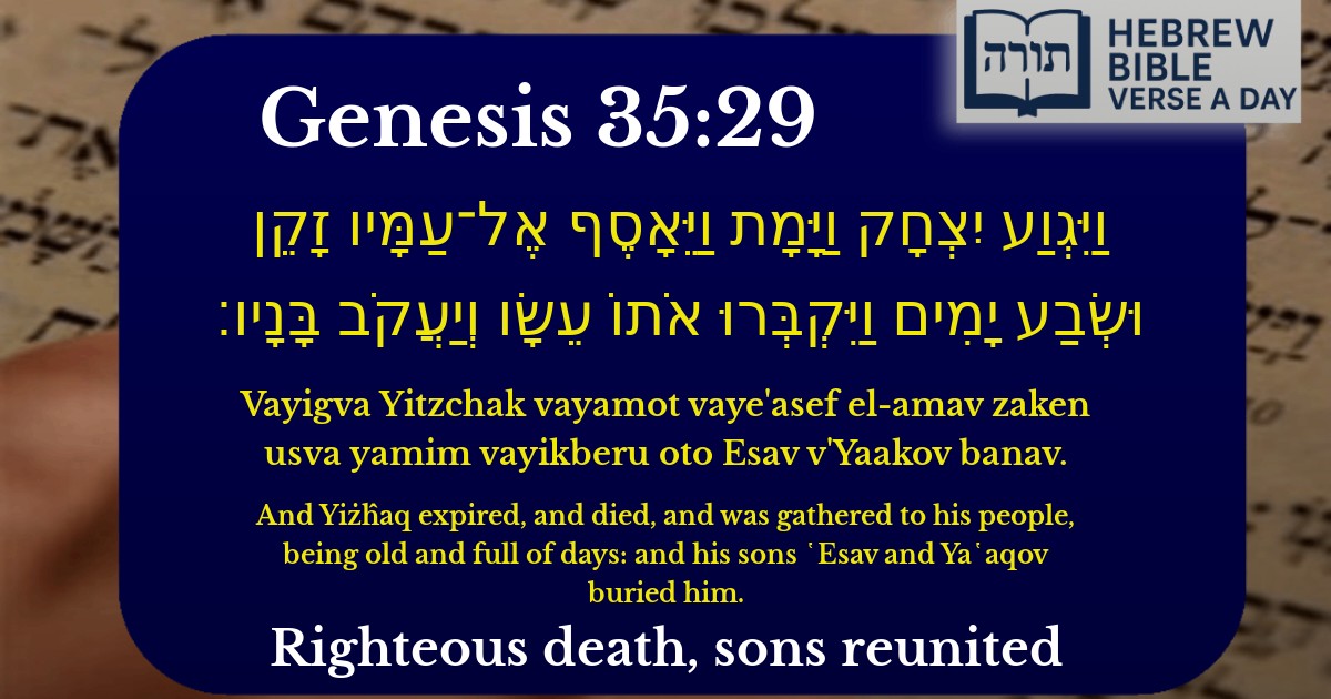 Genesis 35:29 - בראשית 35:29