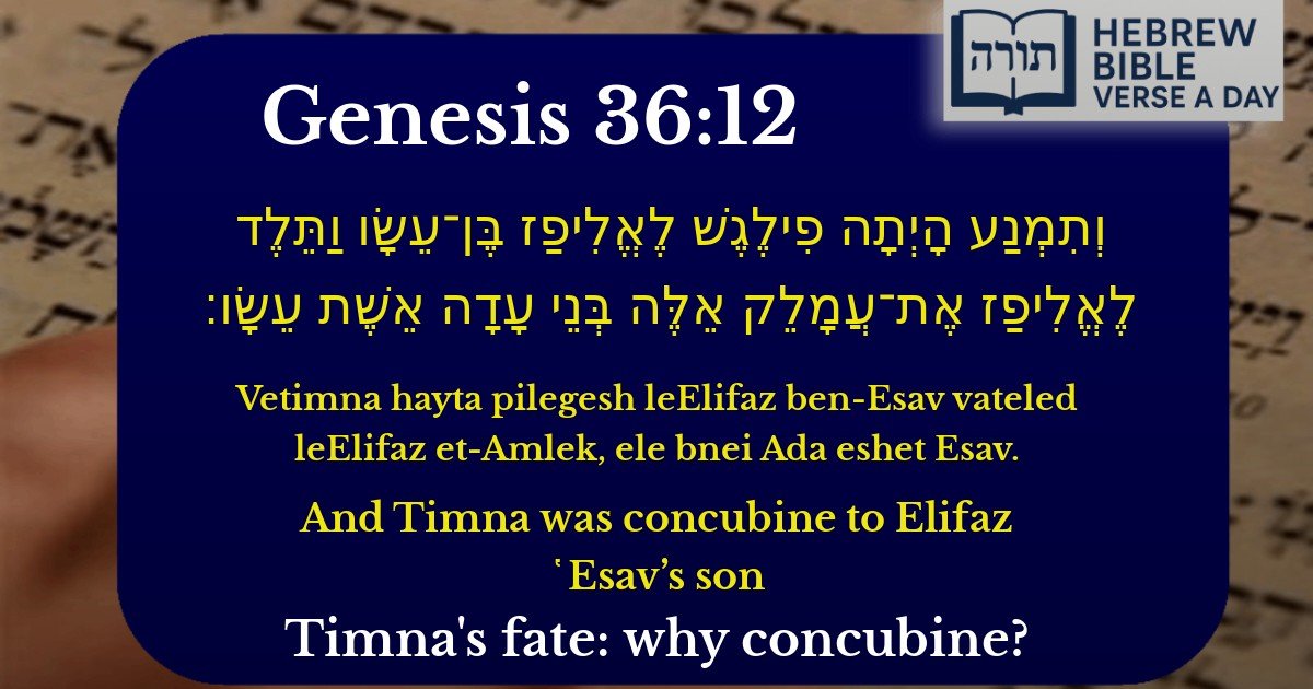 Genesis 36:12 - בראשית 36:12