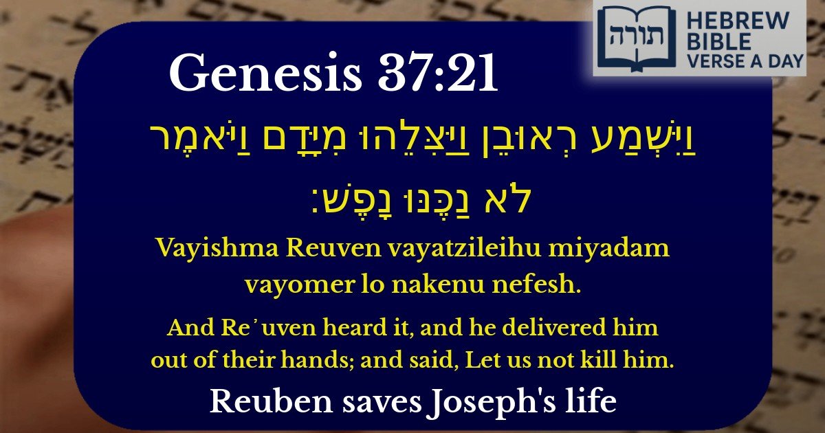 Genesis 37:21 - בראשית 37:21