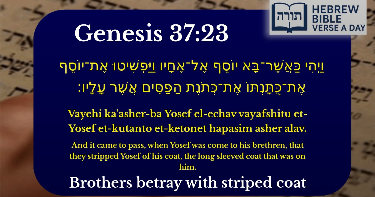 Genesis 37:23 - בראשית 37:23