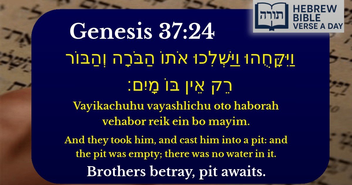 Genesis 37:24 - בראשית 37:24