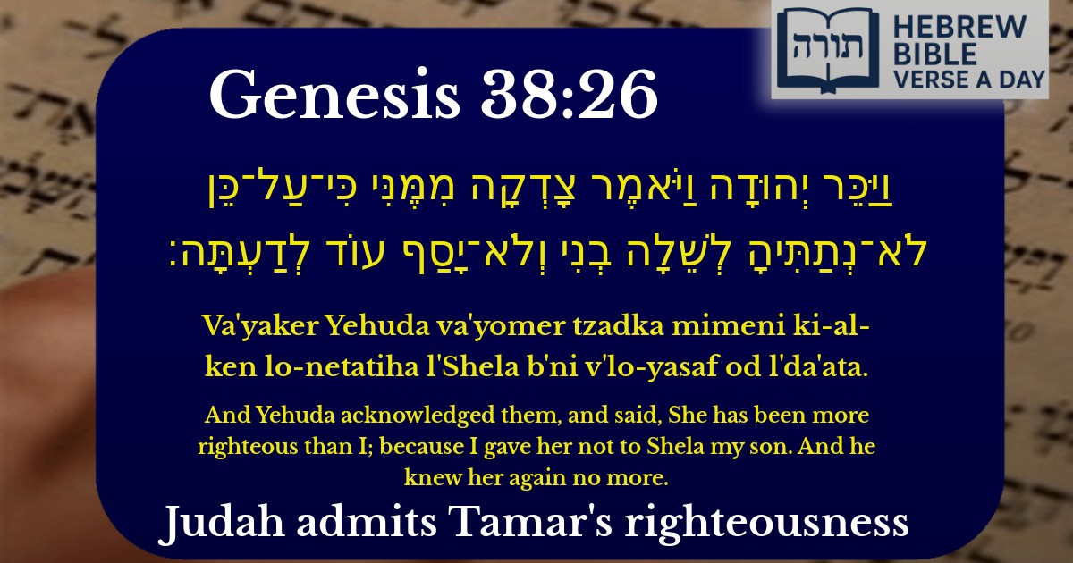 Genesis 38:26 - בראשית 38:26