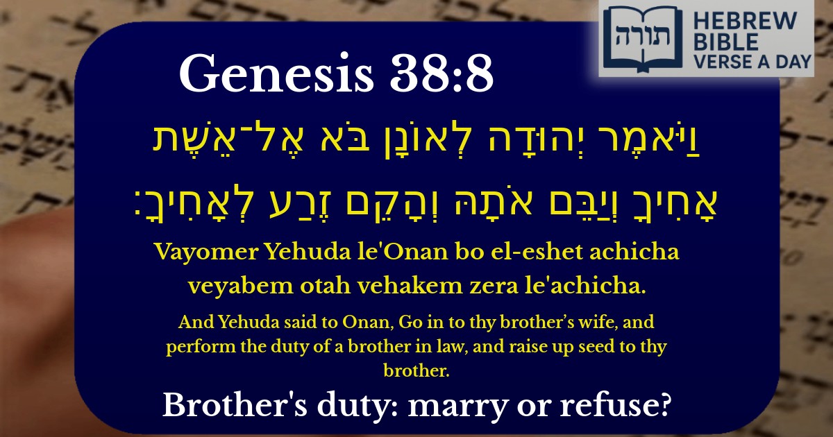 Genesis 38:8 - בראשית 38:8