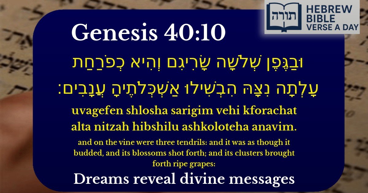 Genesis 40:10 - בראשית 40:10