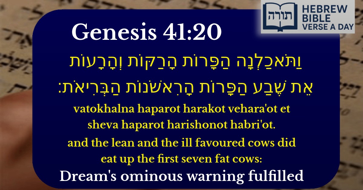 Genesis 41:20 - בראשית 41:20