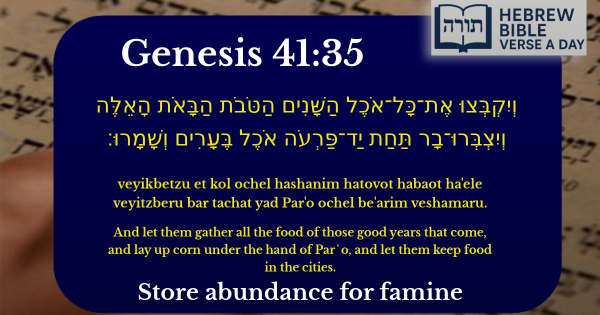 Genesis 41:35 - בראשית 41:35