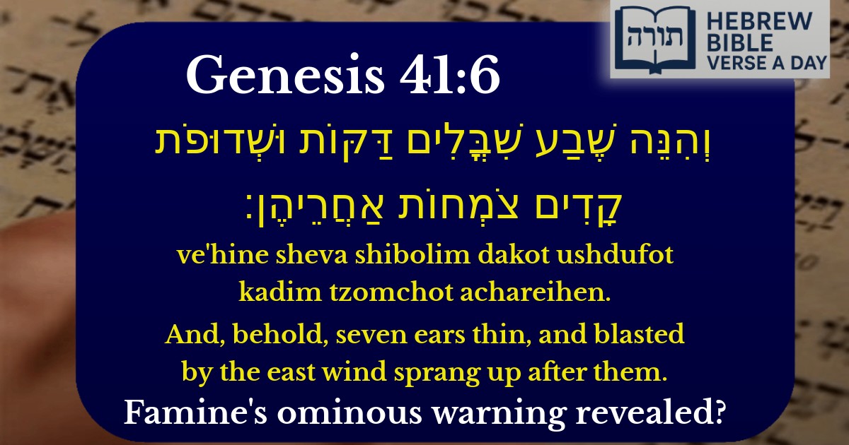 Genesis 41:6 - בראשית 41:6