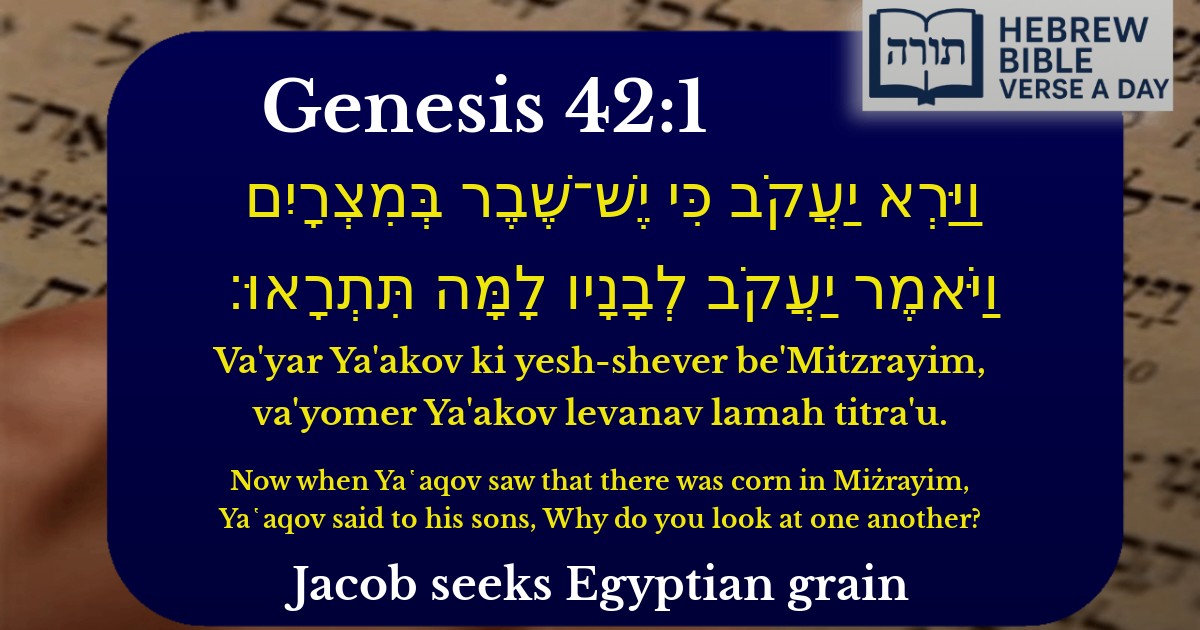 Genesis 42:1 - בראשית 42:1