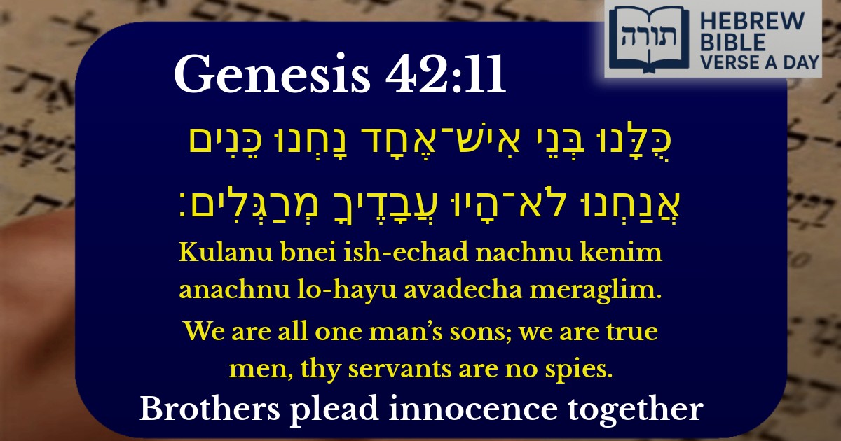 Genesis 42:11 - בראשית 42:11