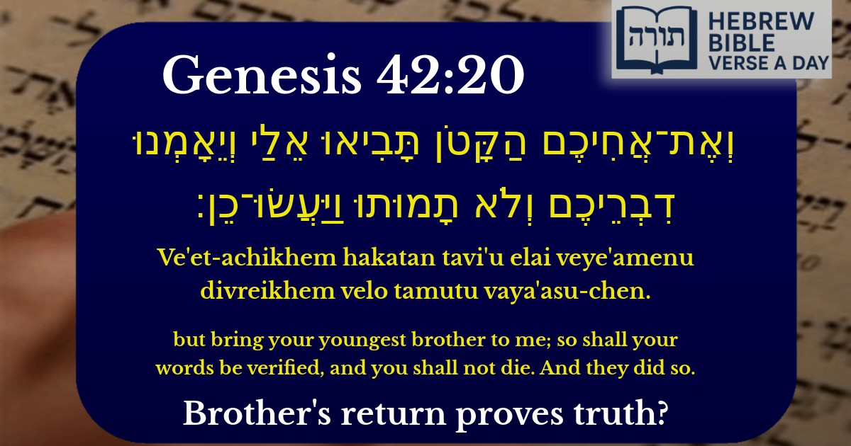 Genesis 42:20 - בראשית 42:20