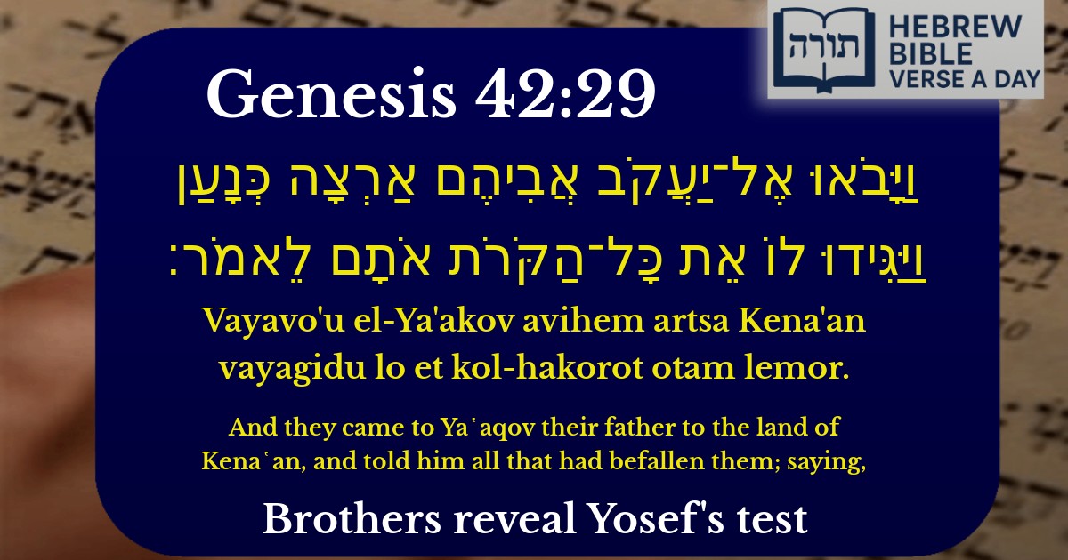Genesis 42:29 - בראשית 42:29