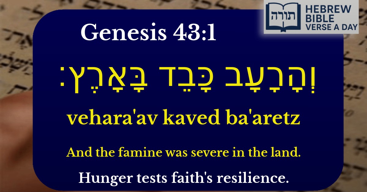 Genesis 43:1 - בראשית 43:1