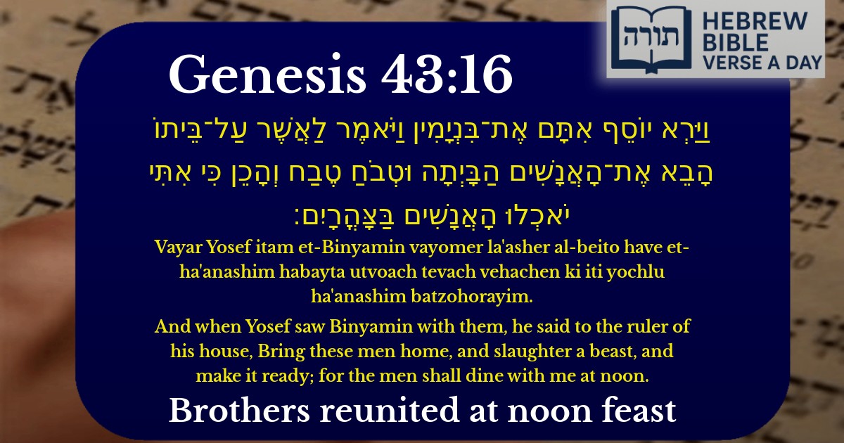 Genesis 43:16 - בראשית 43:16