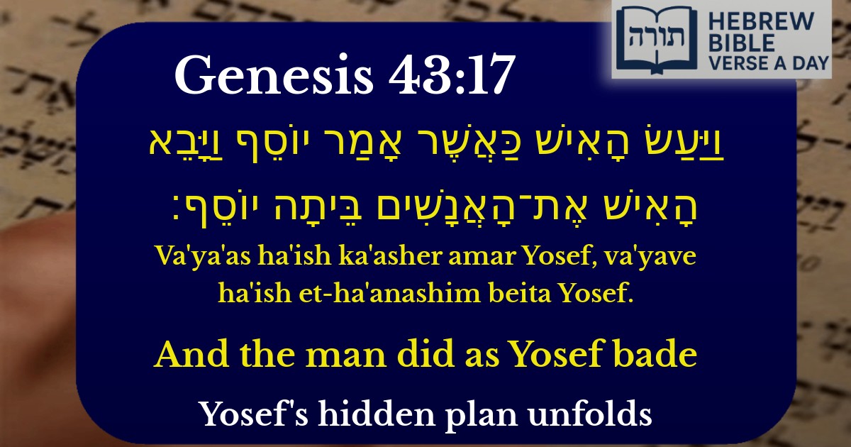 Genesis 43:17 - בראשית 43:17