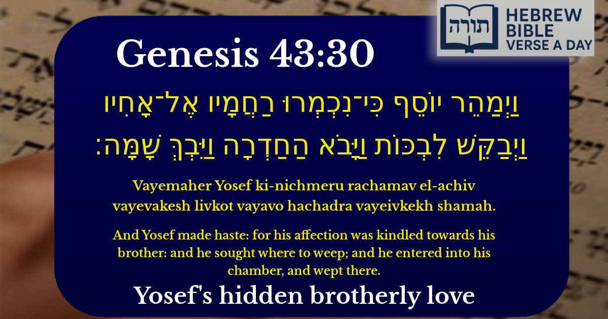 Genesis 43:30 - בראשית 43:30