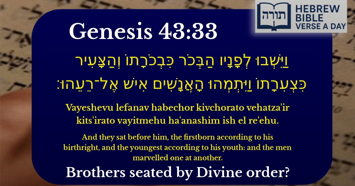 Genesis 43:33 - בראשית 43:33