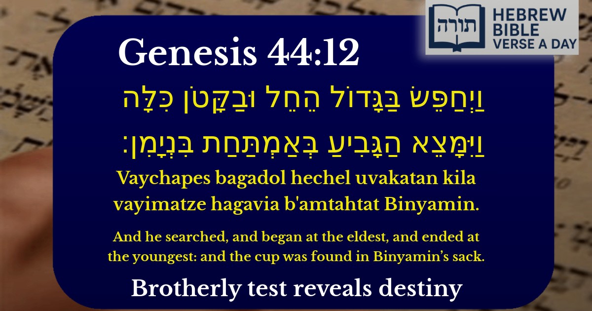 Genesis 44:12 - בראשית 44:12