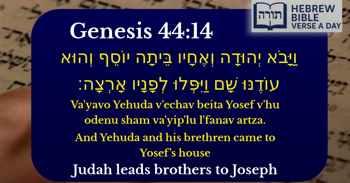 Genesis 44:14 - בראשית 44:14