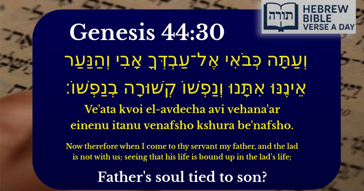 Genesis 44:30 - בראשית 44:30