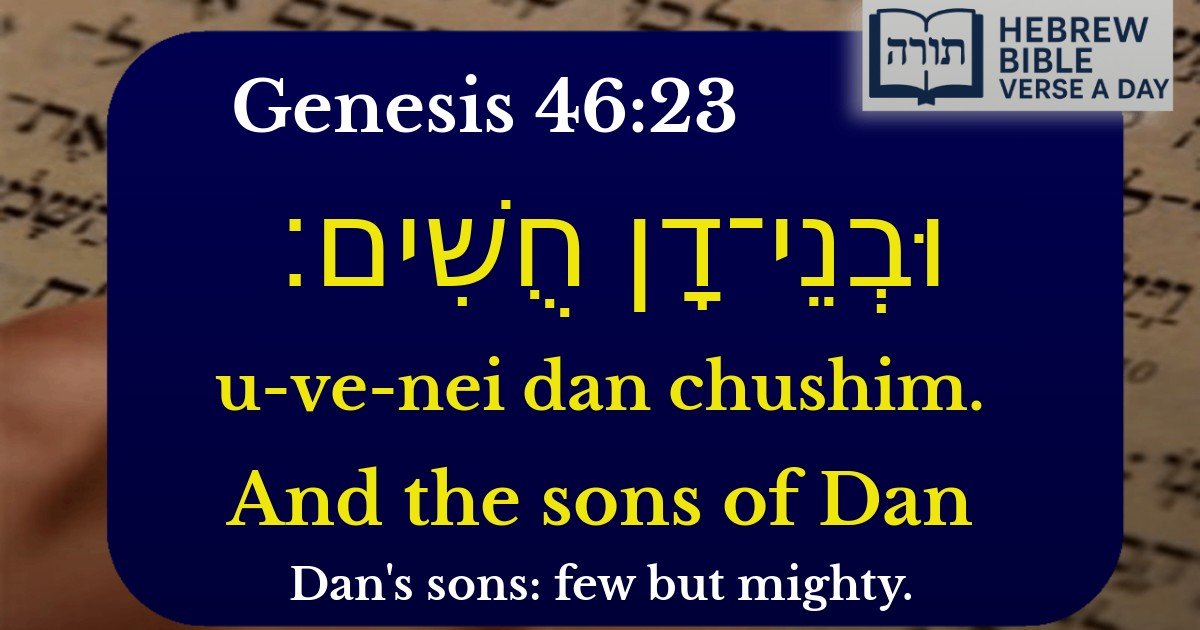 Genesis 46:23 - בראשית 46:23