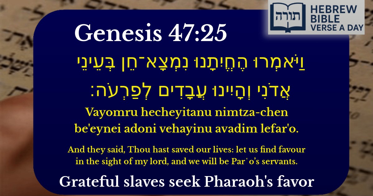 Genesis 47:25 - בראשית 47:25