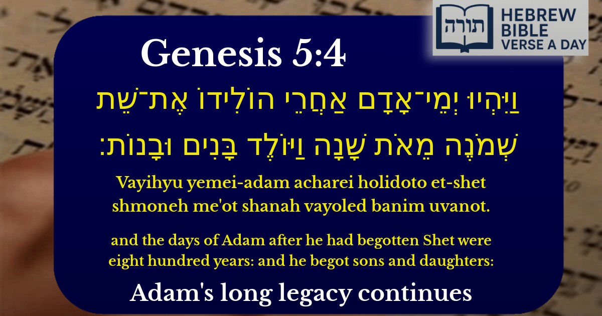 Genesis 5:4 - בראשית 5:4