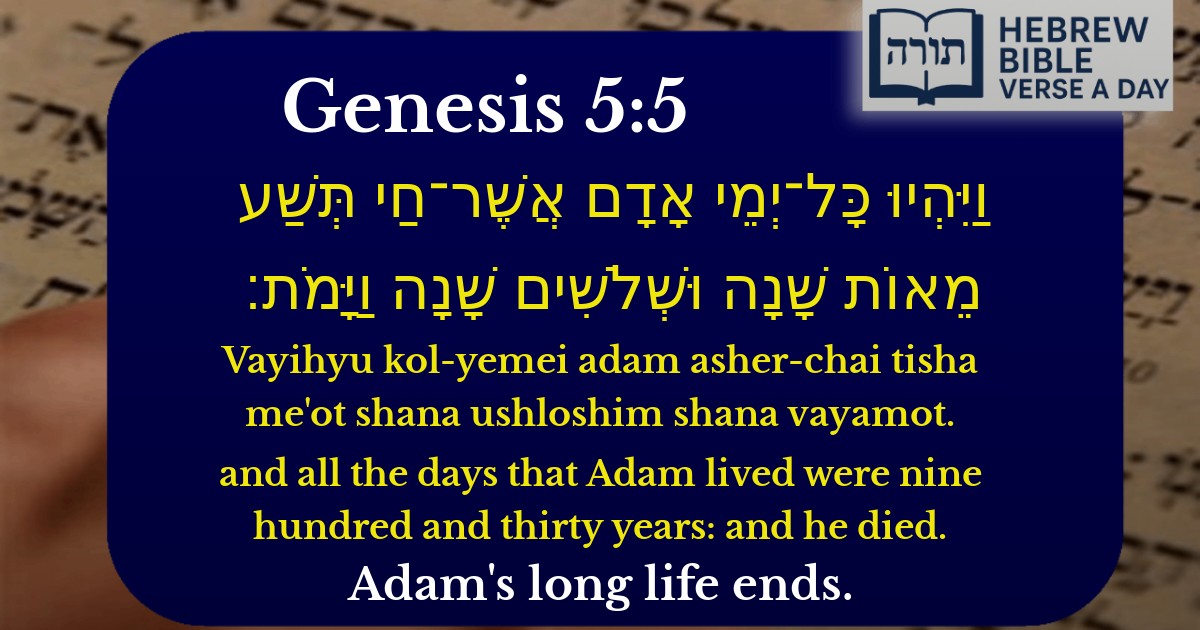 Genesis 5:5 - בראשית 5:5