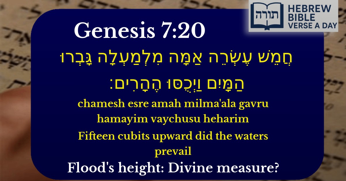 Genesis 7:20 - בראשית 7:20