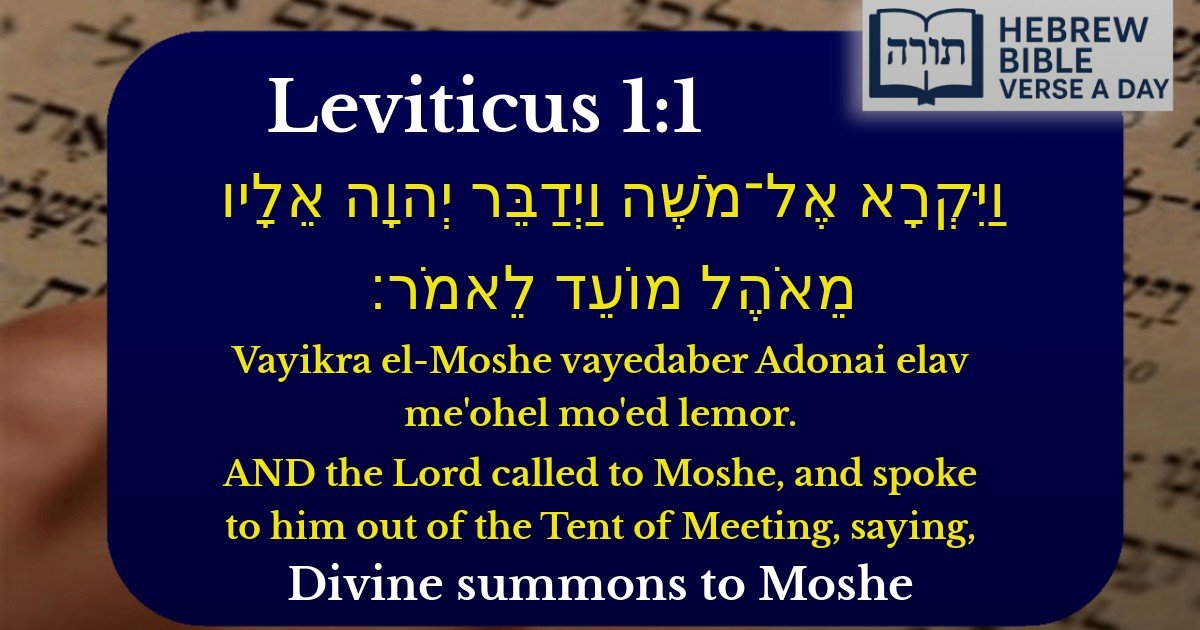 Leviticus 1:1 - ויקרא 1:1