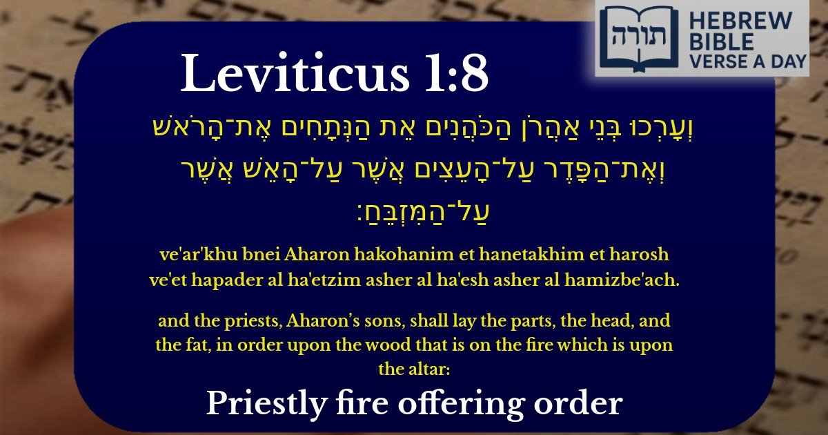 Leviticus 1:8 - ויקרא 1:8