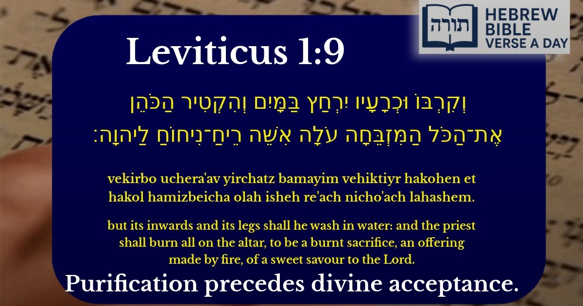 Leviticus 1:9 - ויקרא 1:9