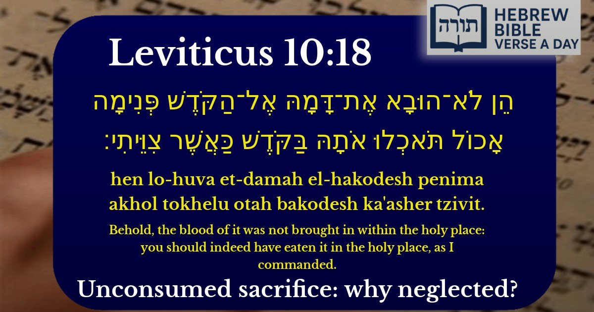 Leviticus 10:18 - ויקרא 10:18