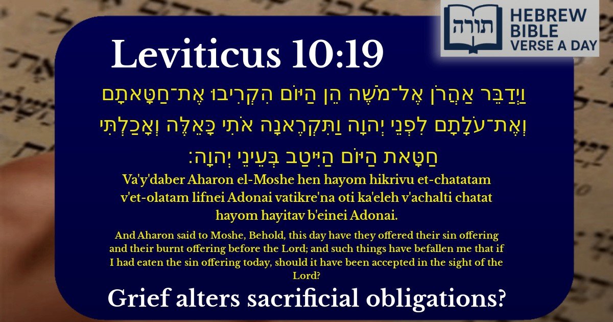 Leviticus 10:19 - ויקרא 10:19