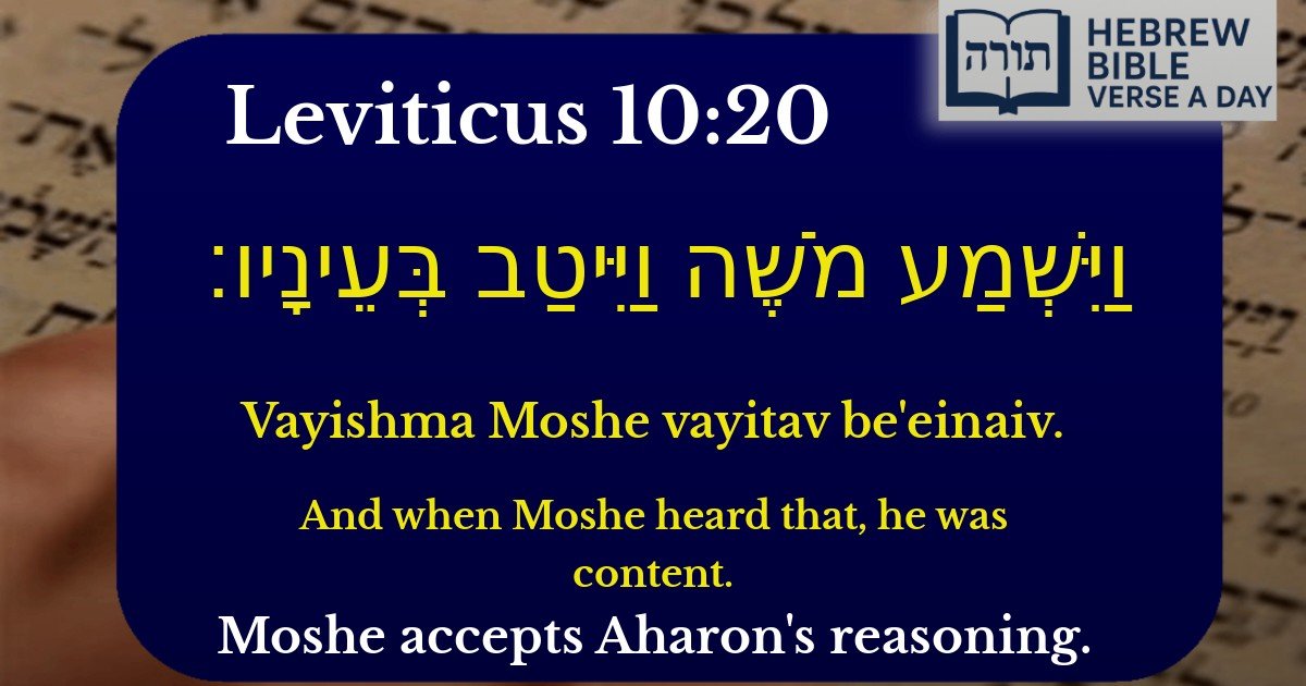 Leviticus 10:20 - ויקרא 10:20