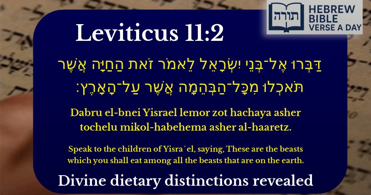 Leviticus 11:2 - ויקרא 11:2