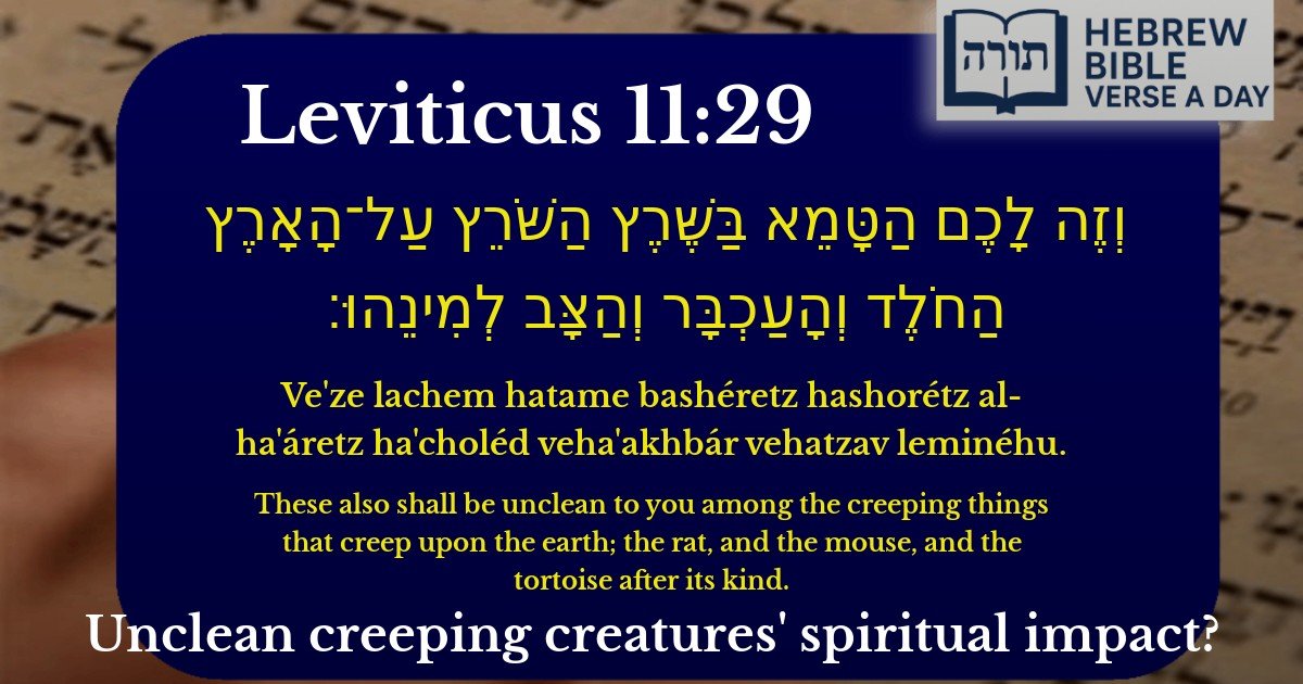 Leviticus 11:29 - ויקרא 11:29