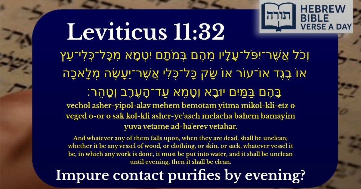 Leviticus 11:32 - ויקרא 11:32
