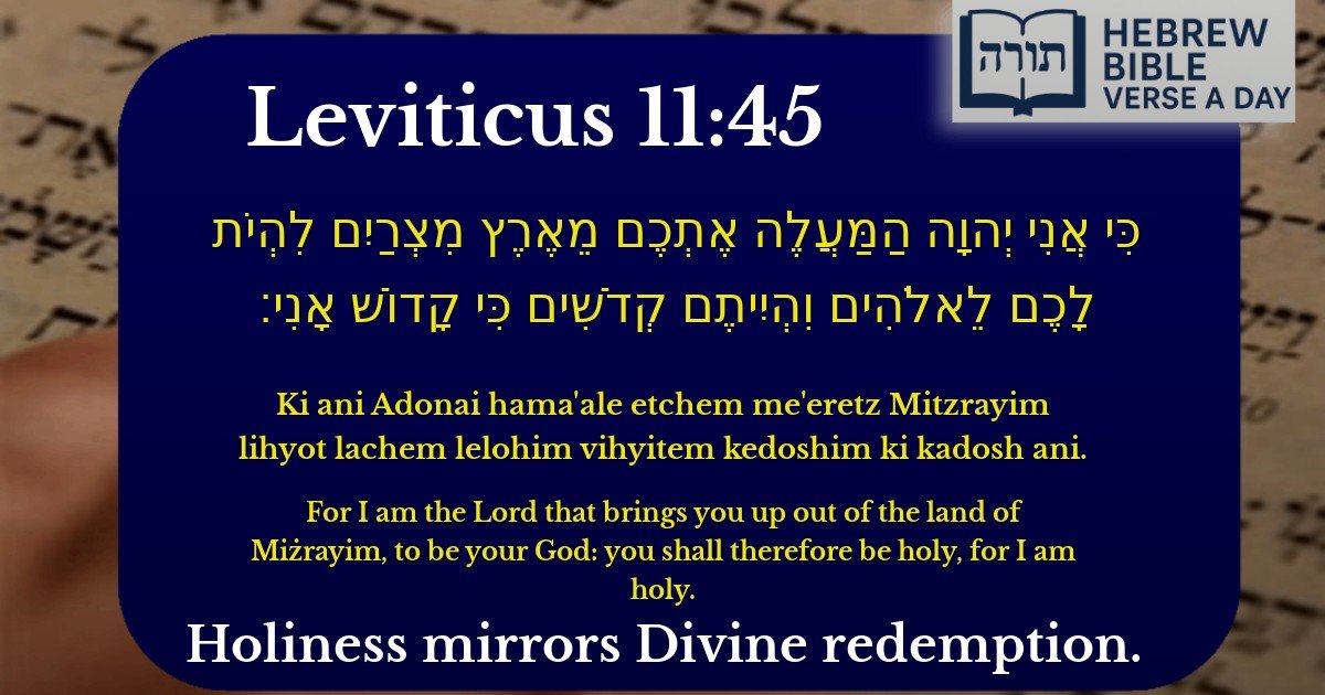 Leviticus 11:45 - ויקרא 11:45